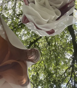 Willy Brugman Vluchtig