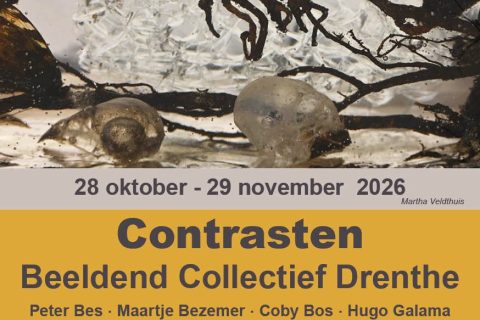 Beeldend Collectief Drenthe in galerie Forma Aktua